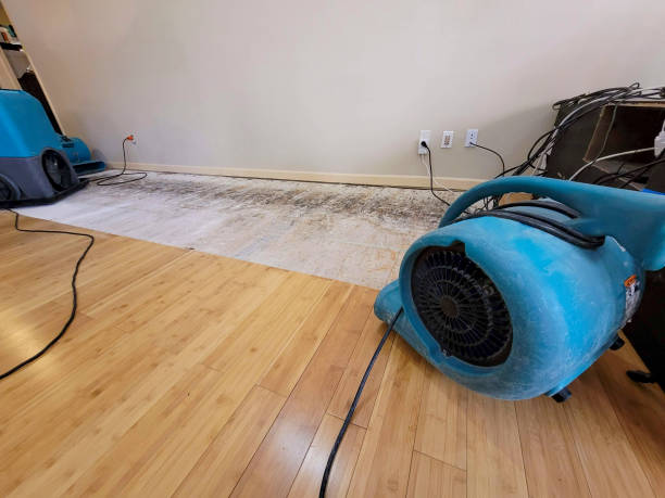 Professional Flood Damage Cleanup technician working in Gerald, MO